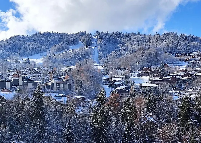 Appartamento La Pointe Des Aravis 4 By Interhome *